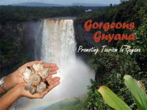 Guyana: A rising star