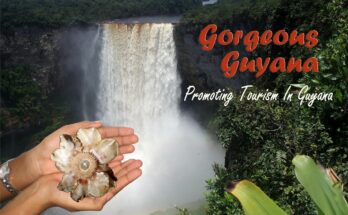 Guyana: A rising star